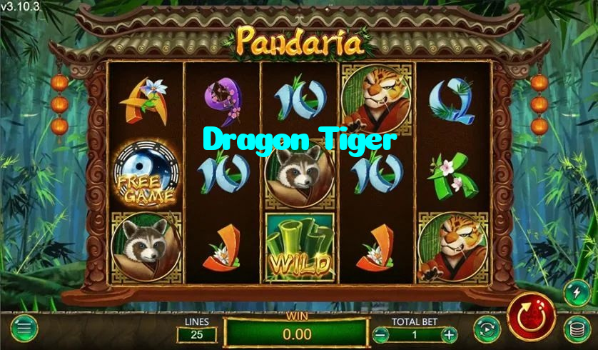 making first deposit on Dragon Tiger website using local payment methods in Pakistan