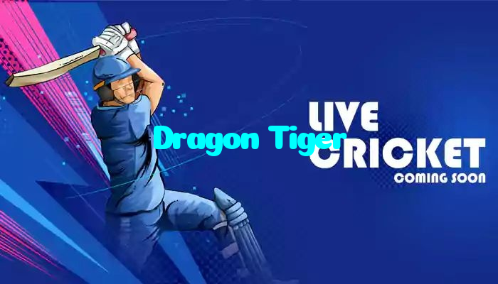 available types of Dragon Tiger bet including pre-match live express and system bets